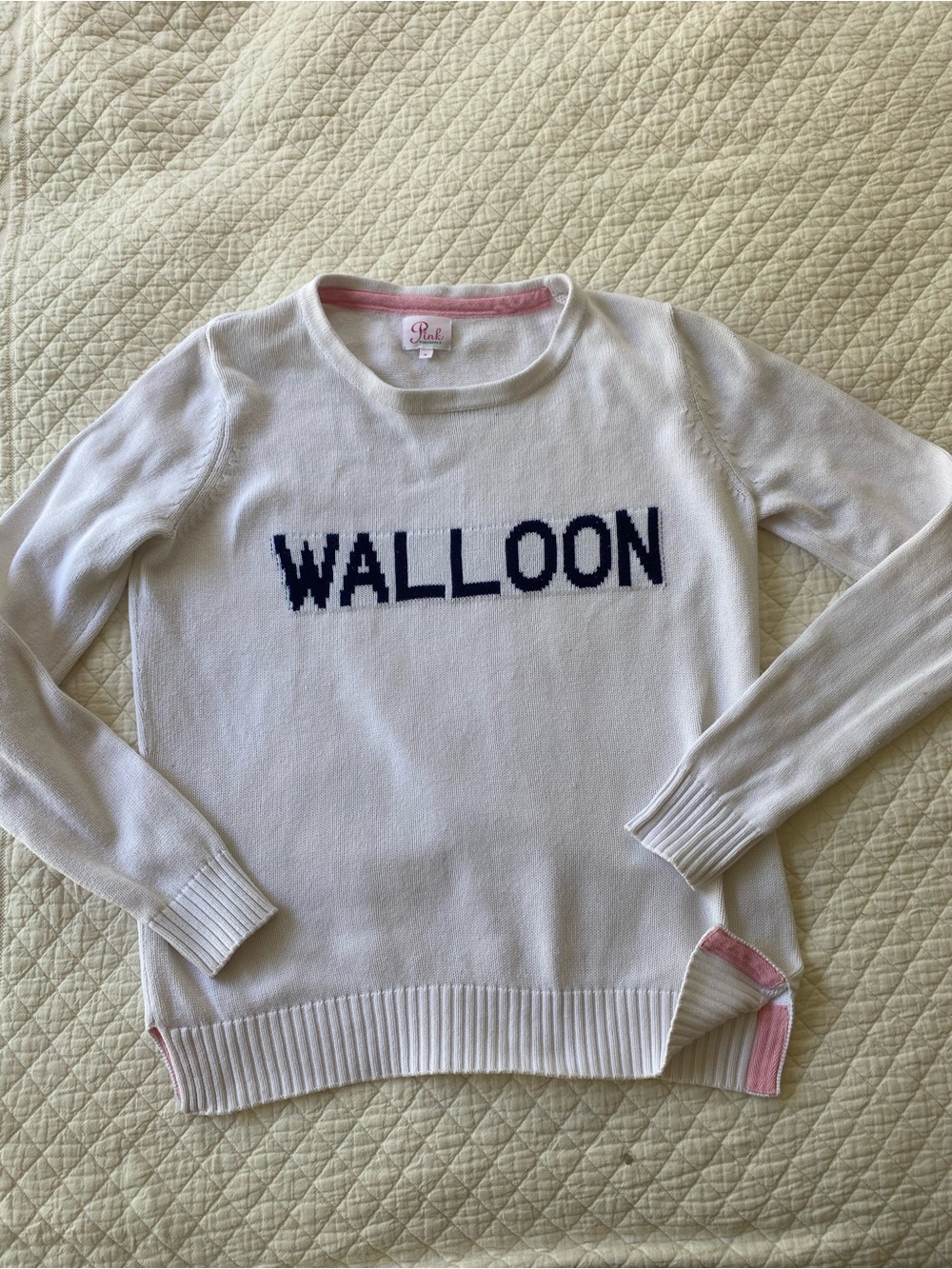 Pink Pineapple Walloon Lake Michigan Cotton Crew Sweater White Preppy Petoskey